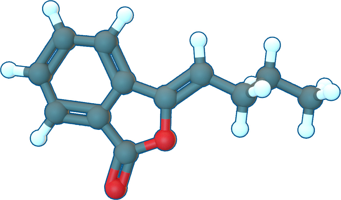 Image of Butylidenephthalide | C12H12O2 | Supreme Pharmatech